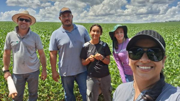 Agricultores de Campo Mourão reduzem custos de produção na safra 25/26